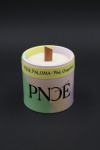 "Pink Paloma" - Pink Grapefruit  100% Natural Soy Wax