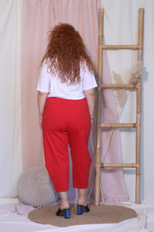 SARLIN BOTTLE PANTS 